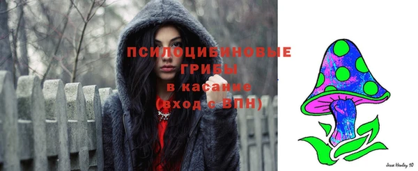 молекула духа Снежинск